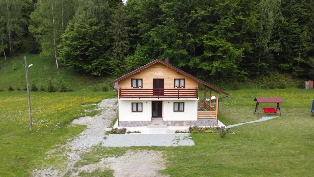 Pensiunea Floare De Colt Moisei Exterior foto